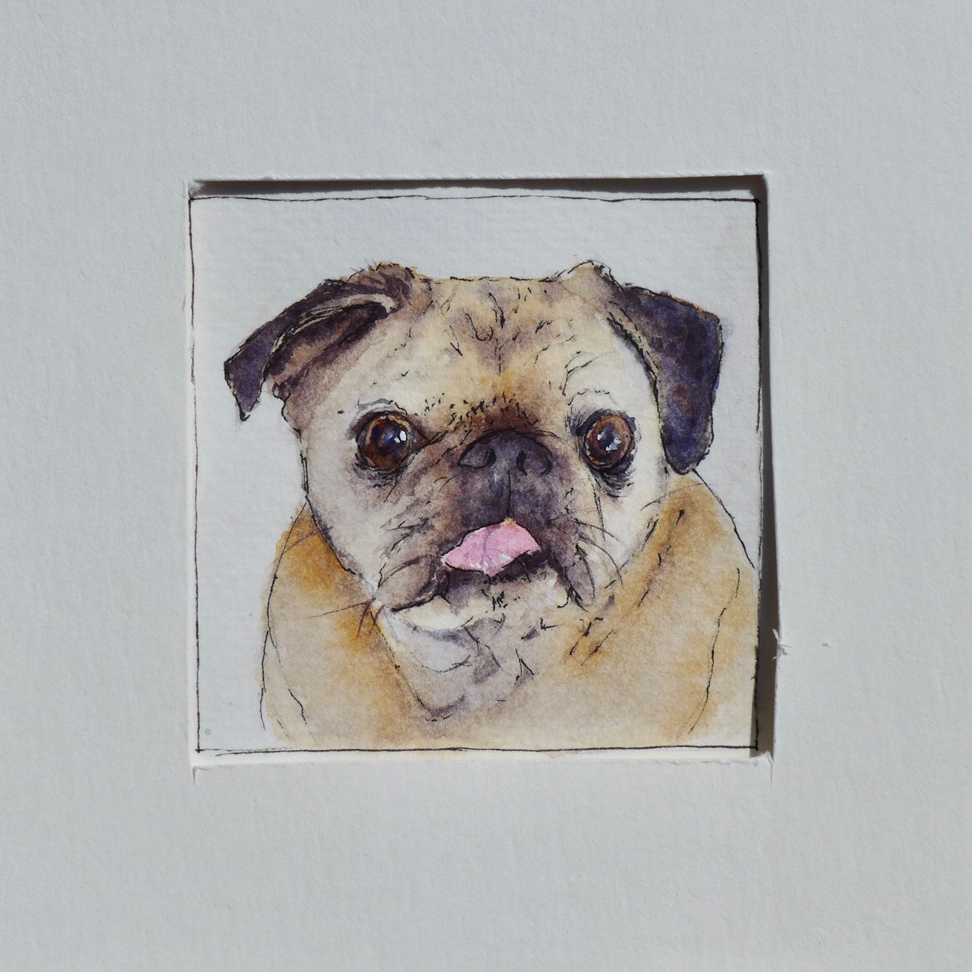 Watercolor pet portrait of Babur.