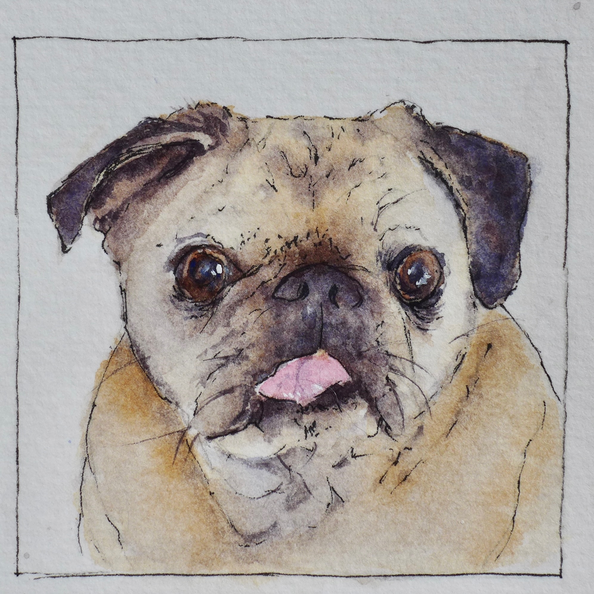 Watercolor pet portrait of Babur.
