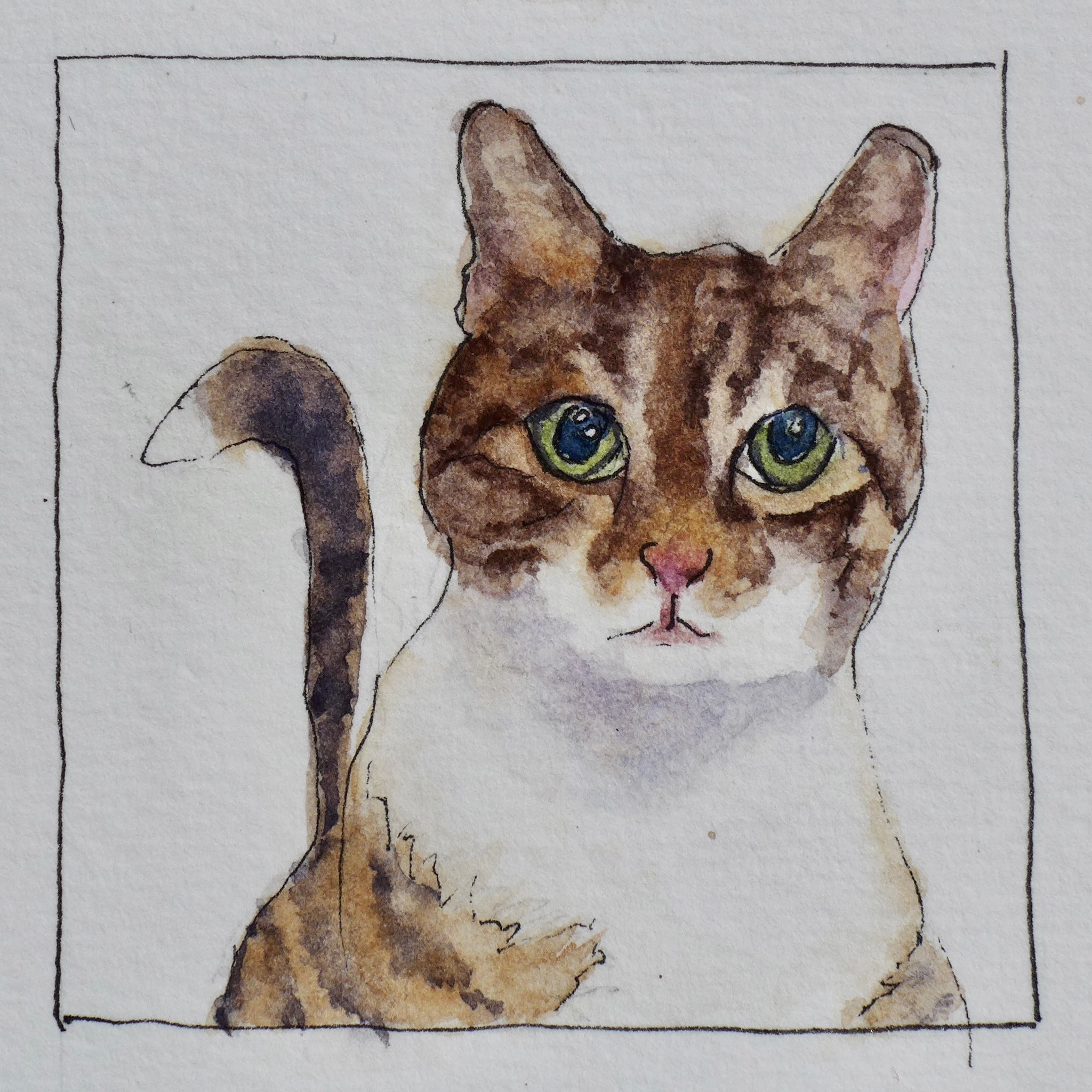 Watercolor pet portrait of Buddy.
