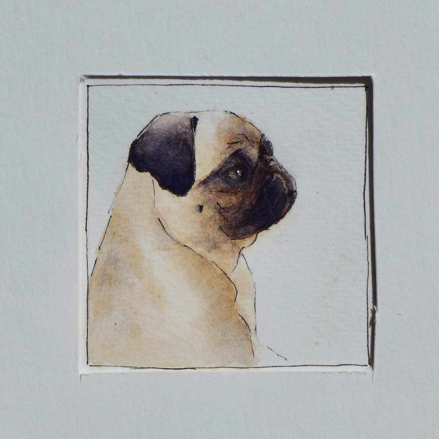 Watercolor pet portrait of Dembé.
