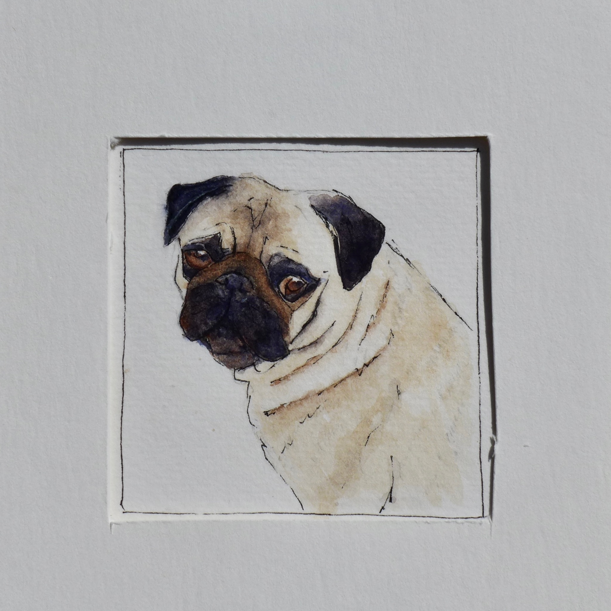 Watercolor pet portrait of Elsa.