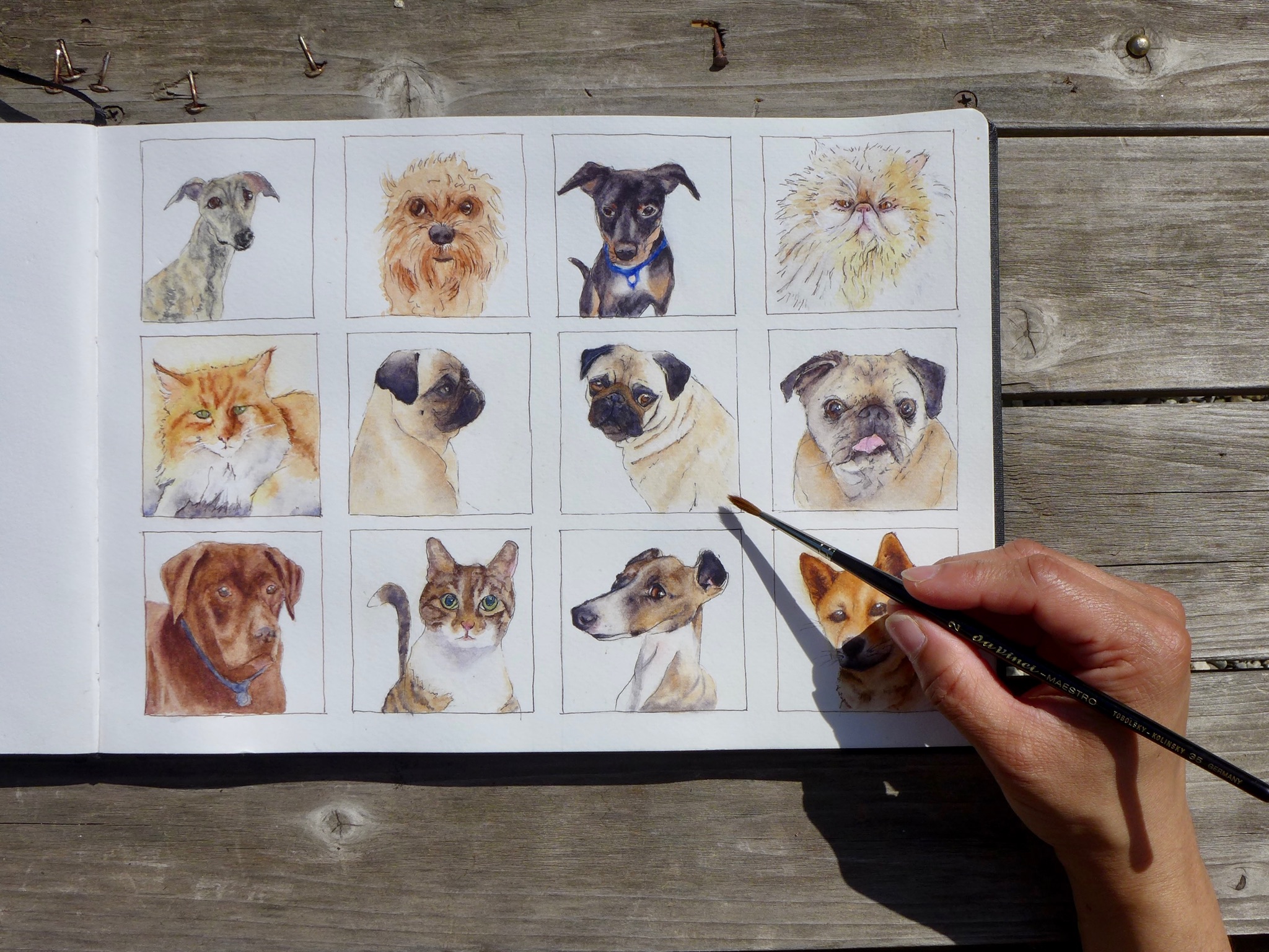 Watercolor sketchbook page with multiple pet portraits.