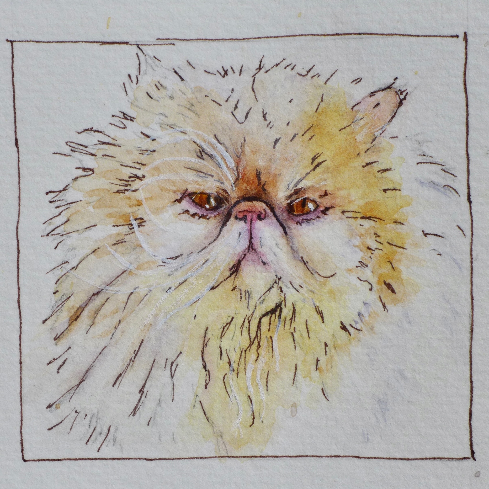 Watercolor pet portrait of Gaspar.