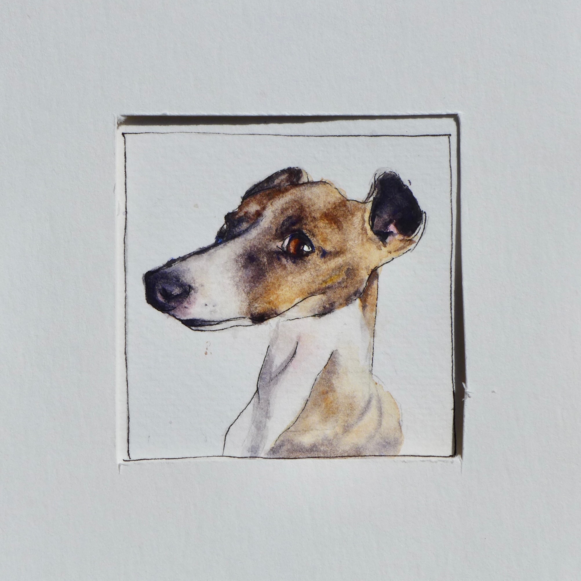 Watercolor pet portrait of Gigi.