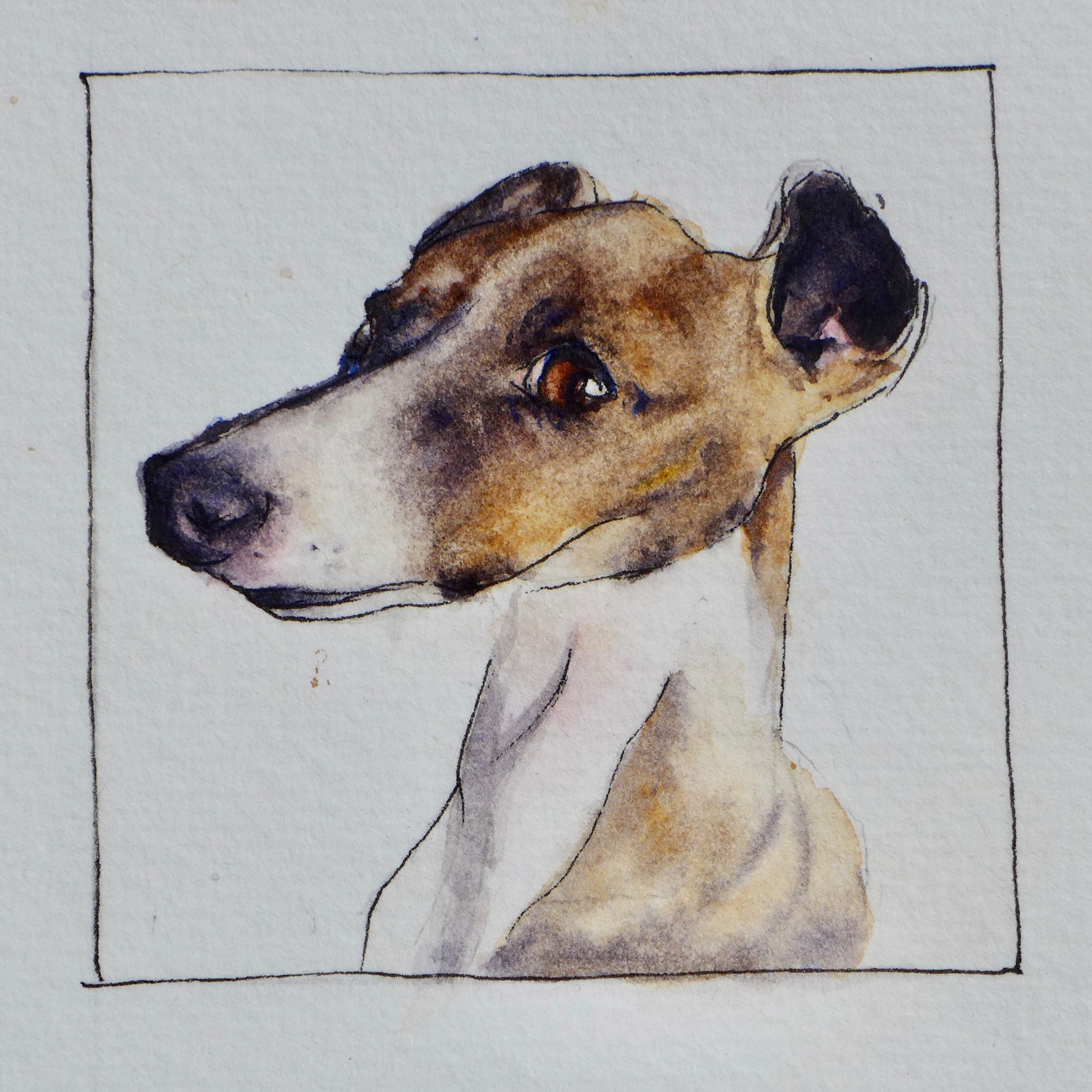 Watercolor pet portrait of Gigi.