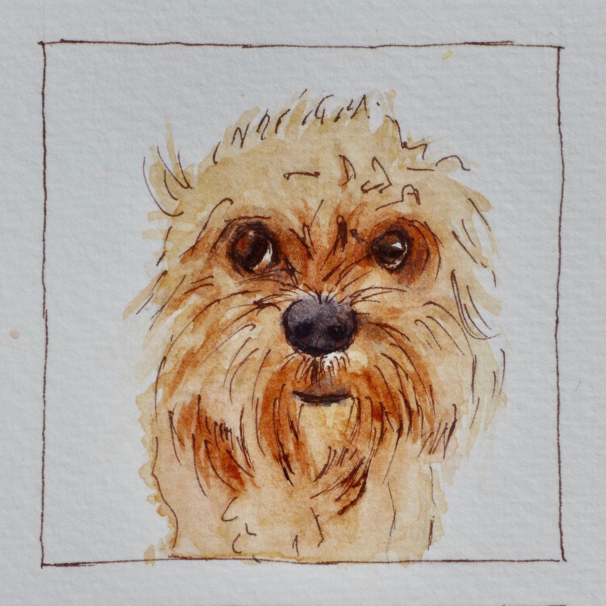 Watercolor pet portrait of Guss.