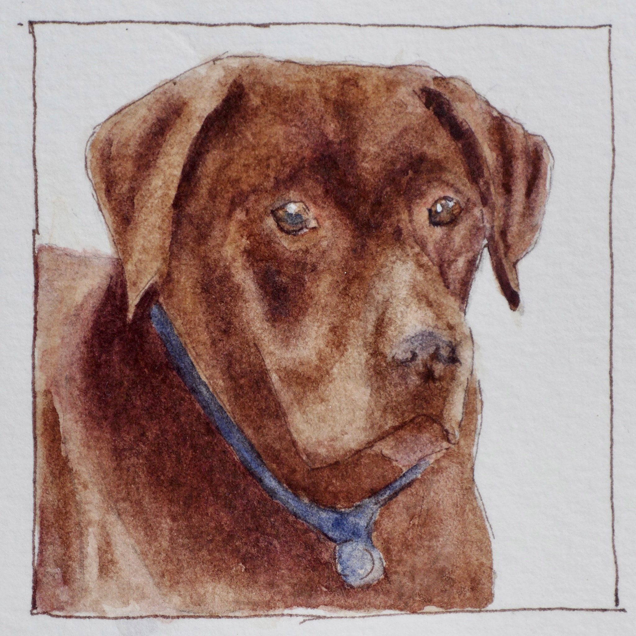 Watercolor pet portrait of Kumar.