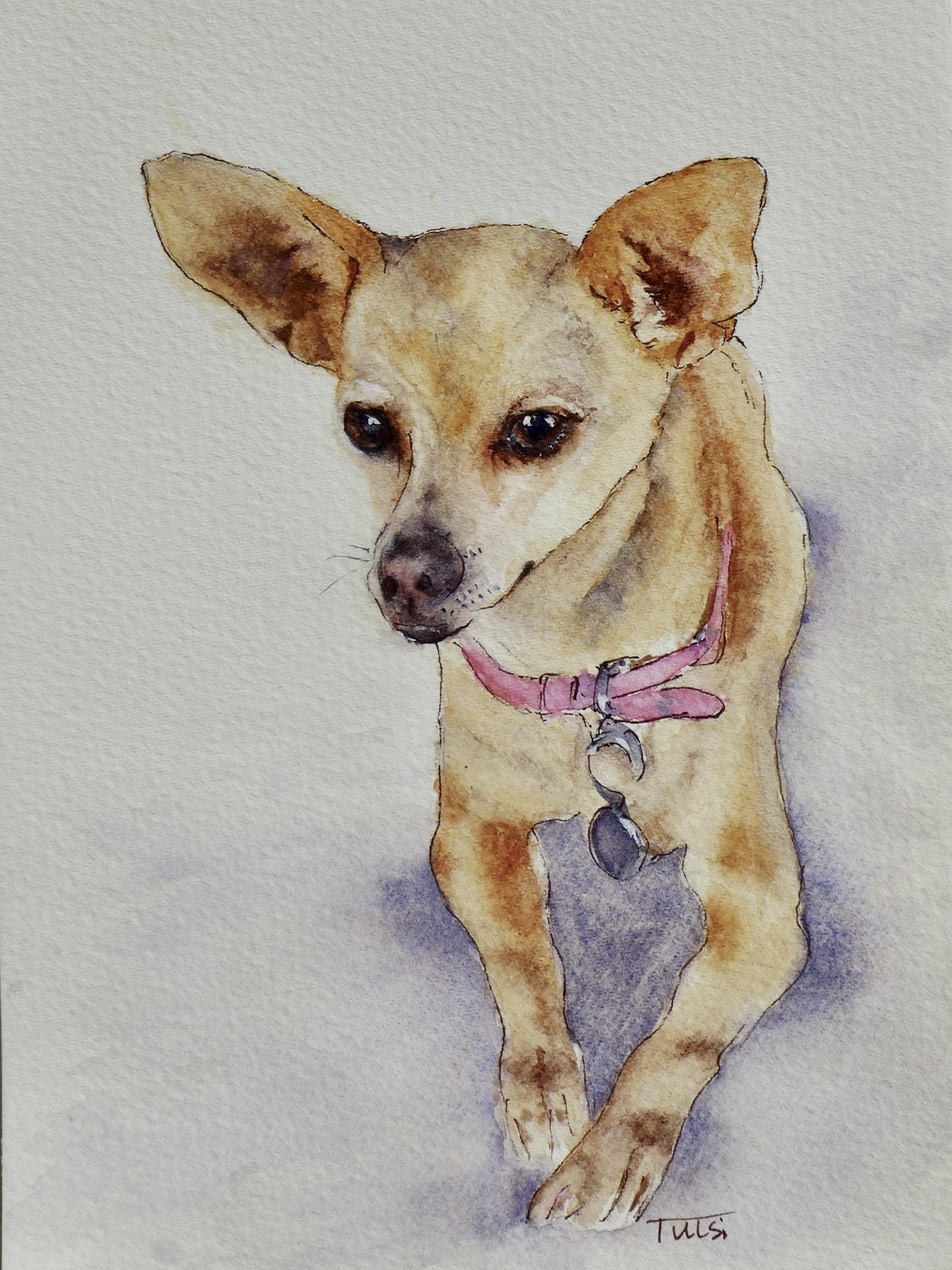 Watercolour and ink on cotton paper 12x18cm