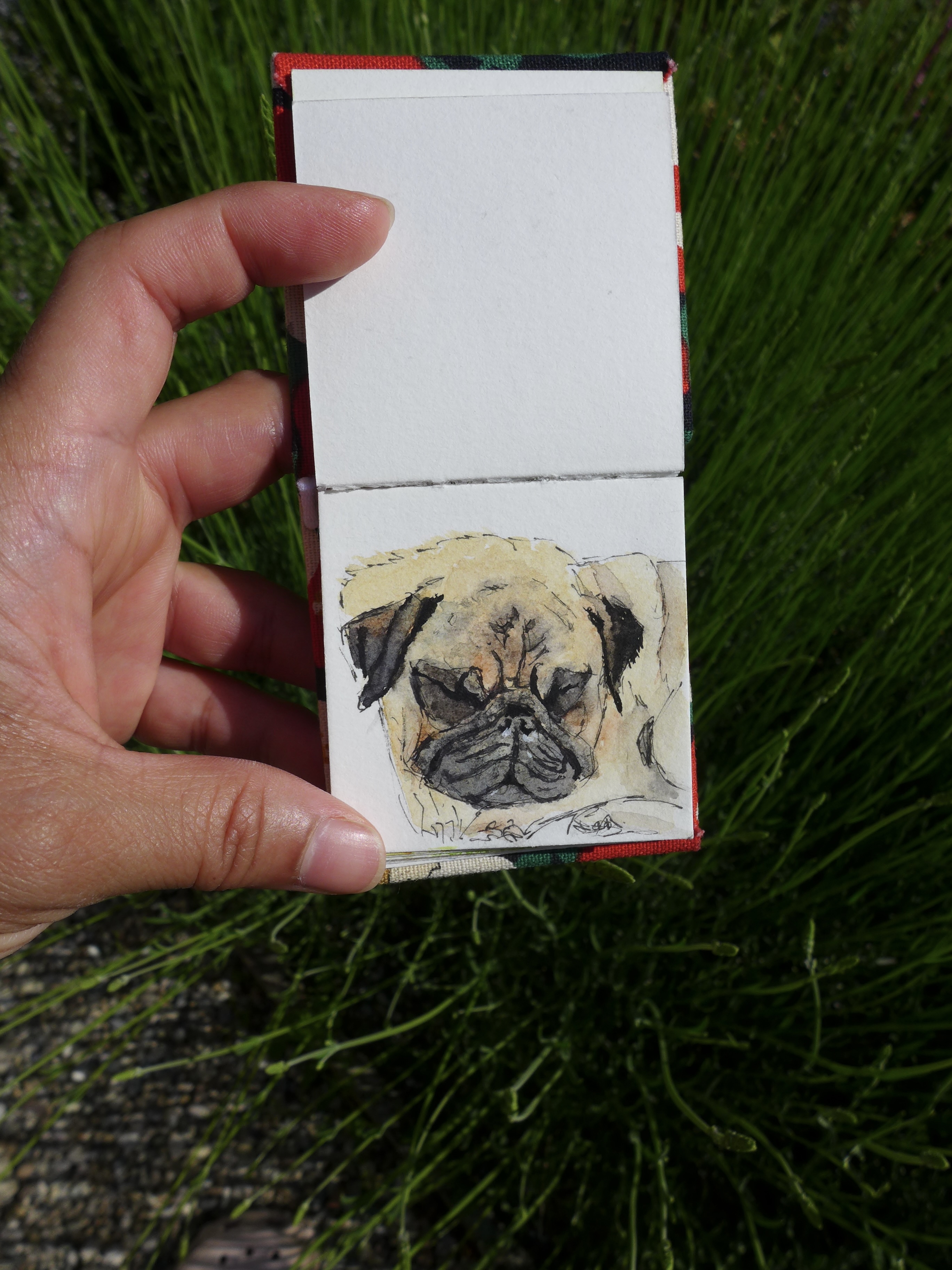 Watercolour and ink in a tiny sketchbook