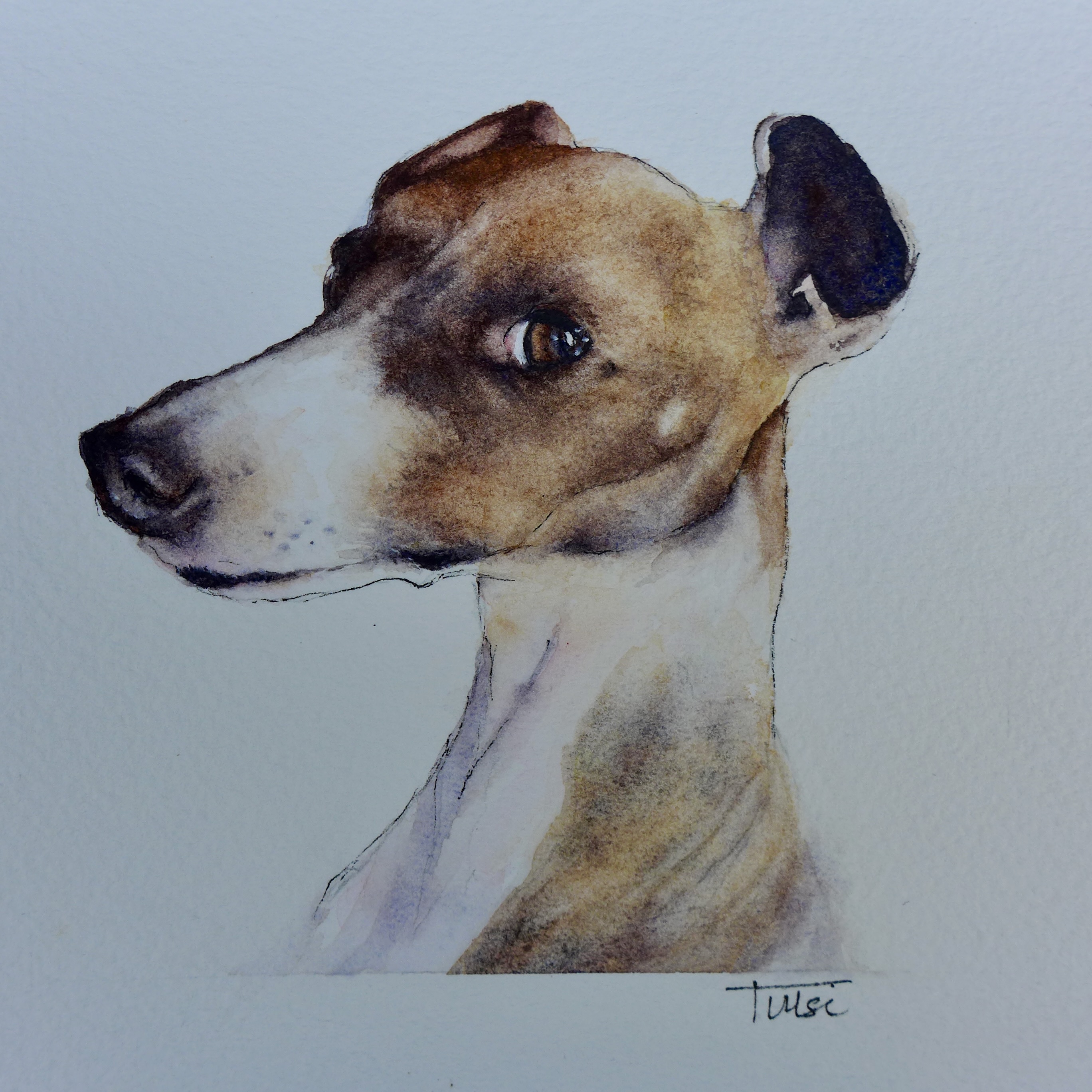 Watercolour and ink on cotton paper 5x5cm