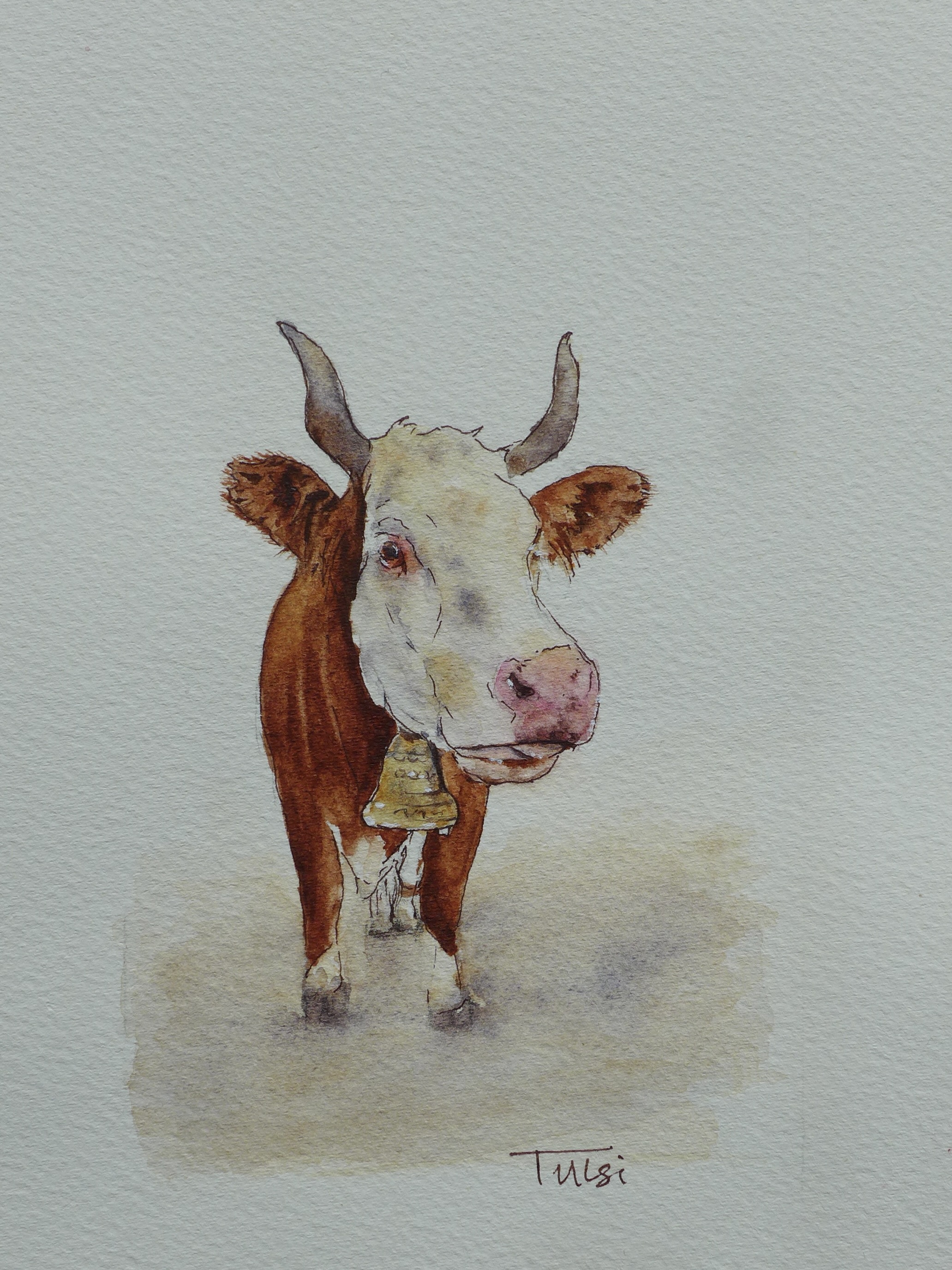 Watercolour and ink on cotton paper