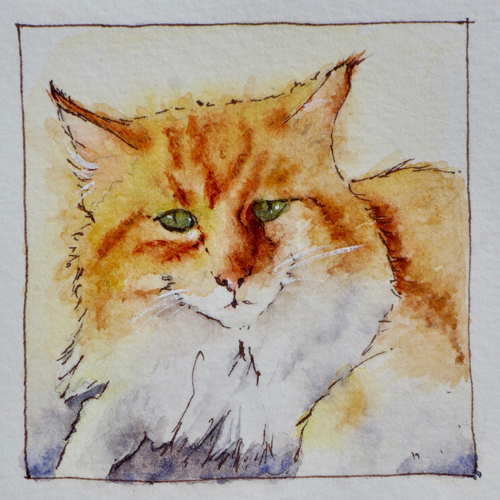 Watercolor pet portrait of Scratchouille.