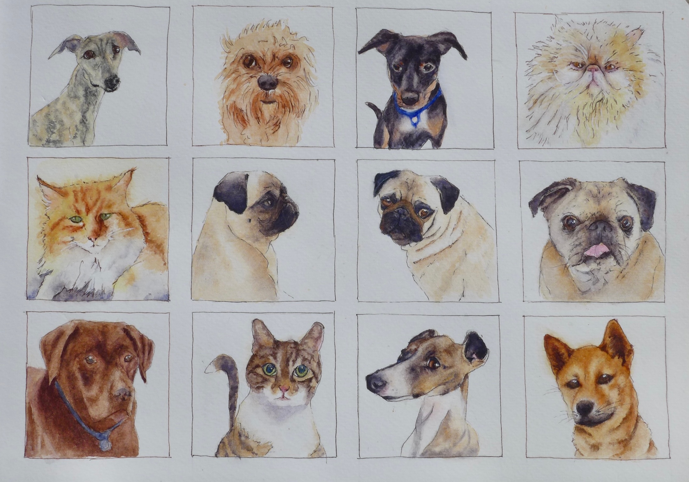 Watercolor sketchbook page with multiple pet portraits.