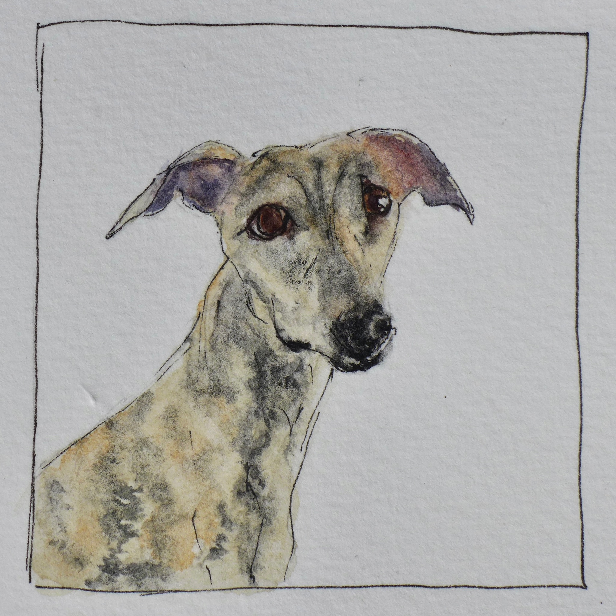 Watercolor pet portrait of Tiki.
